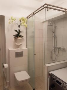 a bathroom with a toilet and a glass shower at Business Apartment Briller Viertel in Wuppertal