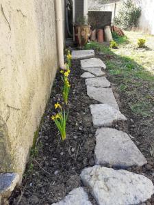 a garden with rocks and flowers in front of a house at Les Jasmins in Montaud +1 photo