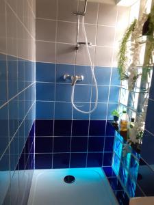 a blue tiled bathroom with a shower and a tub at Les Jasmins in Montaud