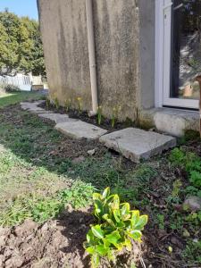 a group of flowers in front of a house at Les Jasmins in Montaud