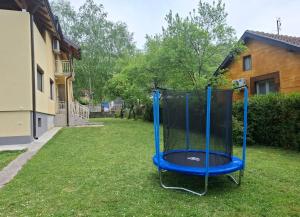 a trampoline in the grass in a yard at Drina's Heart in Bajina Bašta