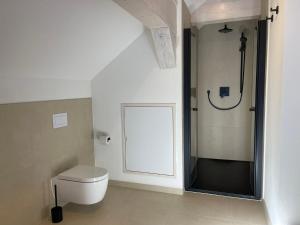a bathroom with a toilet and a glass shower at Schwarzfabrik in Bad Dürkheim +15 photos