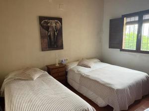 two beds in a bedroom with an elephant picture on the wall at Refugio de Montaña "El Caroche" Alojamiento entero in Enguera