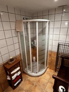 a glass shower in a bathroom with a tile wall at Ibón de la Sierra in El Pueyo de Jaca