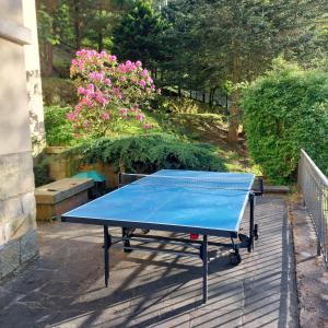 a blue ping pong table sitting on a patio at Waldvilla in Bad Schandau +23 photos