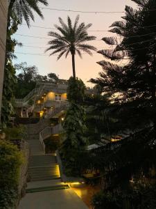 a palm tree in front of a building with stairs at Hotel Aravali in Mount Ābu