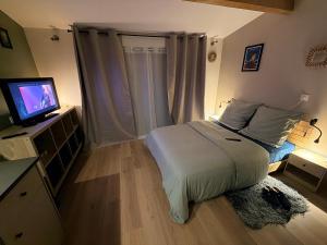 a small bedroom with a bed and a television at Studio avec jardin privé et parking gratuit in Mudaison