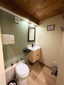 a bathroom with a toilet and a sink and a mirror at Studio avec jardin privé et parking gratuit in Mudaison +16 photos