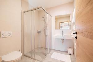 a bathroom with a shower and a toilet and a sink at Radstädter Hütte am Rossbrand in Radstadt