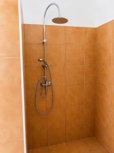 a shower with a shower head in a bathroom at Apartmány Pražská in Ústí nad Labem