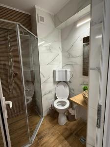 a bathroom with a toilet and a shower at Steluta in Eforie Nord +34 photos