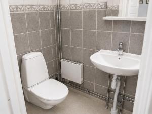 a bathroom with a toilet and a sink at Solbacka Apartment in Södra Ås