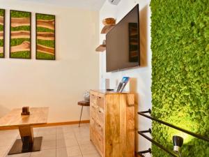 a living room with a green wall and a tv at Appartamento Mango in Cavallino-Treporti