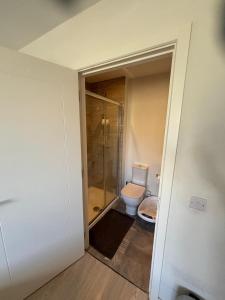 a bathroom with a toilet and a glass shower at En-suite Double Bedroom Adamstown in Lucan