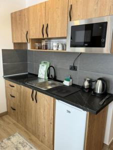 a small kitchen with a sink and a microwave at Misho Hills Retreat in Kopaonik