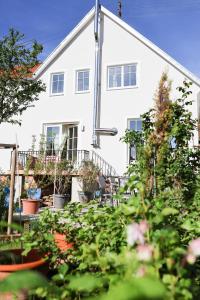 a white house with plants in front of it at Altes Winzerhaus Stegmann in Sankt Martin