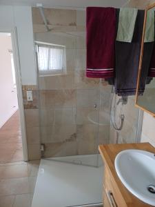 a bathroom with a shower and a sink at Ferienwohnung Landlust in Treuchtlingen