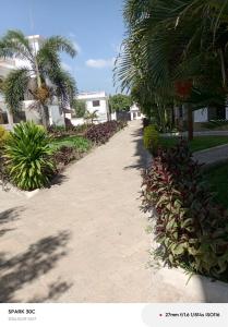 a walkway with palm trees and plants in a park at Rosa Mystica Diani Bnb in Ukunda Airport