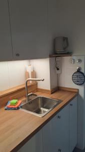 a kitchen with a sink and a wooden counter top at Saltwater Hohwacht in Hohwacht