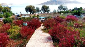 a path through a field of flowers near the water at Villa Blu Majestic beach villa in Halki