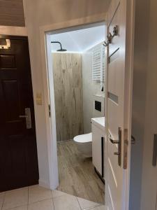 a bathroom with a toilet and a sink at Mini Apart - Gdańsk Jelitkowo in Gdańsk