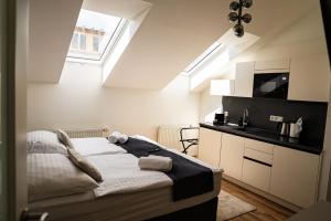 a bedroom with a bed and a sink and a window at Arte Brno in Brno +208 photos