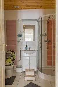 a bathroom with a shower and a sink and a toilet at Hetedhét Vendégház in Mórahalom +11 photos