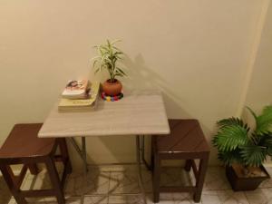 a table with a plant sitting on top of it at The Station Hostel in Sathani Ayutthaya +22 photos