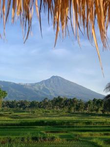 a mountain in the distance with a field and trees at Angghy Garden Tetebatu in Tetebatu