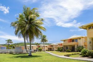 a palm tree in a yard next to a building at Caribbean View for You condo in Christiansted