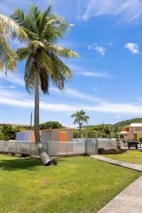 a palm tree in a yard next to a sidewalk at Caribbean View for You condo in Christiansted