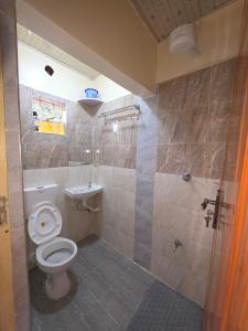 a bathroom with a toilet and a shower at Rosemond cottages eldoret in Eldoret