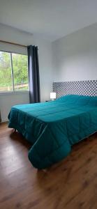 a bedroom with a green bed with a window at Piedra de Luna o Sur in Villa Serrana