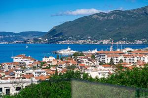 a view of a city with a cruise ship in the water at Villa Aquilla in Tivat