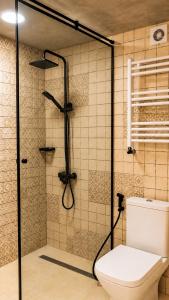 a bathroom with a shower and a toilet at Kazbegi 4 side cottages in Kazbegi +29 photos
