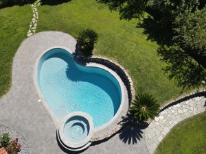 an overhead view of a swimming pool with palm trees at In ta Villa da u Perinetti in Bastia