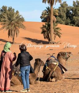 two people standing next to two camels in the desert at Merzouga premium Camp in Merzouga