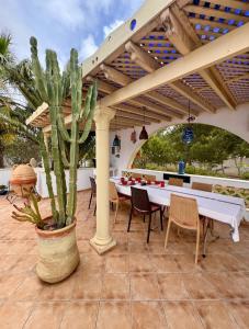 a patio with a table and a potted plant at Chambre d'hôtes, Dar l'air du temps in Aghīr