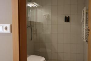 a bathroom with a glass shower with a toilet at Blue Viking Studios in Keflavík