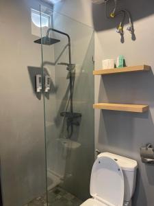 a bathroom with a toilet and a glass shower stall at Pondok Gopi Room in Cemagi