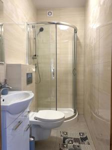 a bathroom with a shower and a toilet and a sink at Tomaszówka in Sarbinowo +27 photos