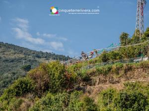a group of people on a suspension bridge on a hill at Camere Giuliano basso in Vernazza +21 photos