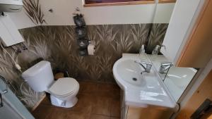 a small bathroom with a toilet and a sink at Hausboat Kvapka in Jarovce +13 photos