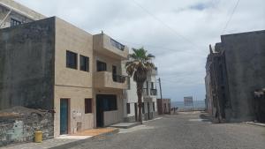 a building with a palm tree in the middle of a street at Gira Lua in Igreja
