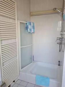 a white bathroom with a shower and a sink at Drachenfels Nest in Königswinter
