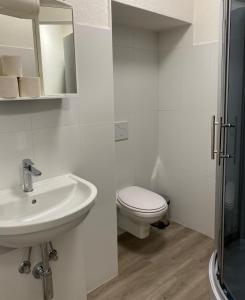 a white bathroom with a toilet and a sink at Fortezza in Bellinzona