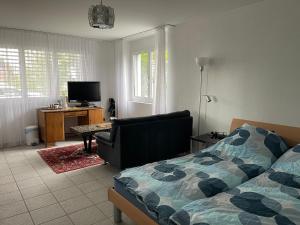 a bedroom with a bed and a tv and a couch at Tengs in Triboltingen