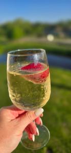 a person holding a wine glass with a piece of fruit at Cozy Stay Širvintos in Širvintos +3 photos