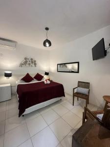 a bedroom with a bed and a tv and a chair at Pousada 3 Bacias Penedo in Penedo