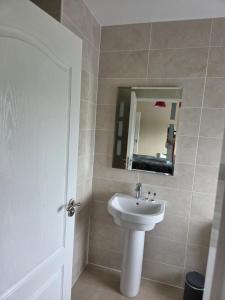 a bathroom with a sink and a mirror at Lilac Manor in Sligo